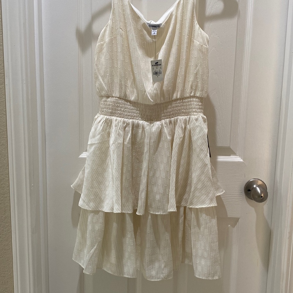 NWT Express dress